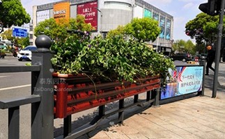 長(zhǎng)條花箱.jpg